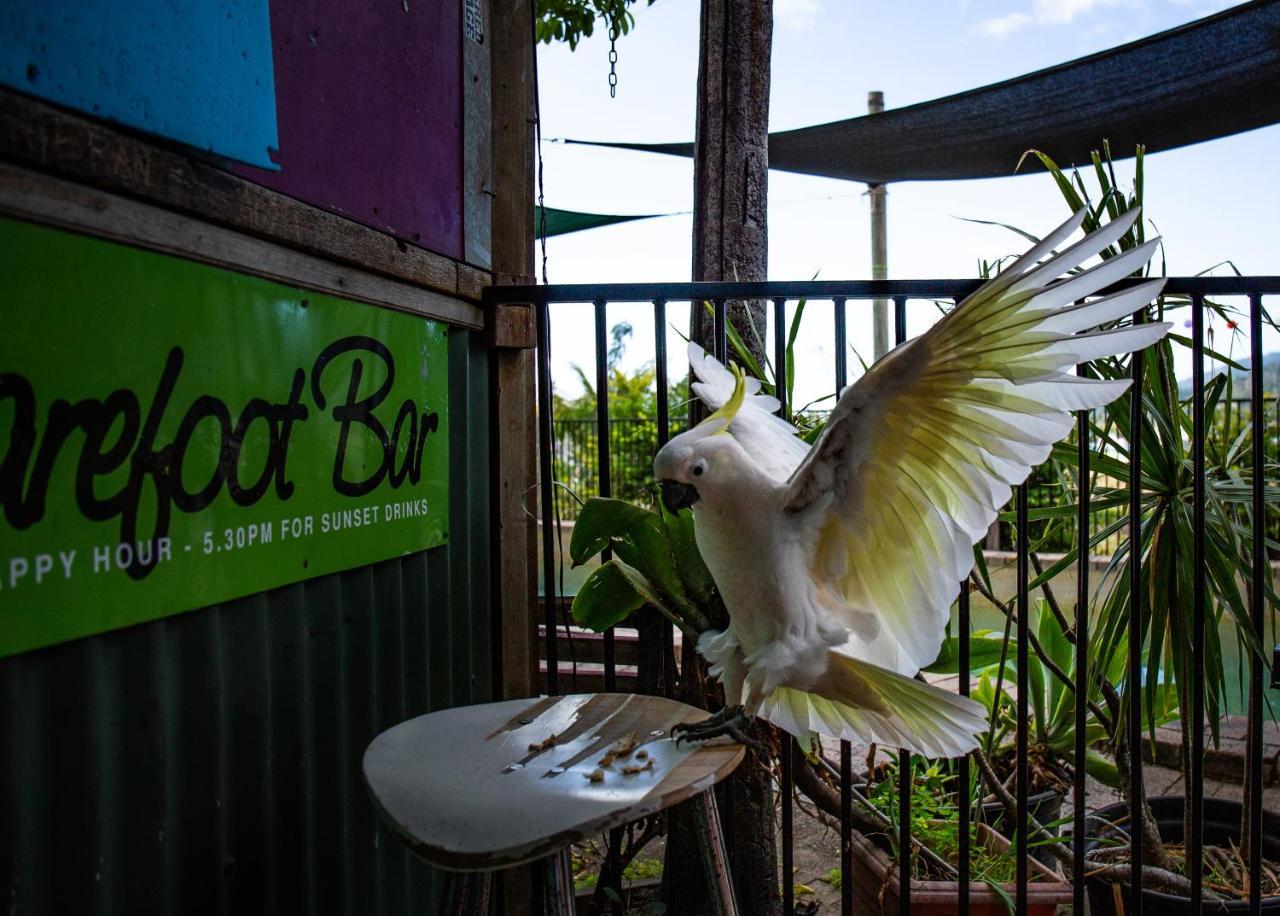 A Pousada Backpackers By The Bay Airlie Beach Exterior foto