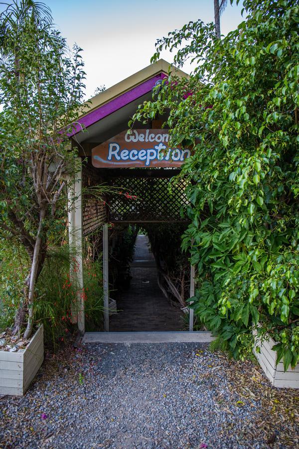 A Pousada Backpackers By The Bay Airlie Beach Exterior foto